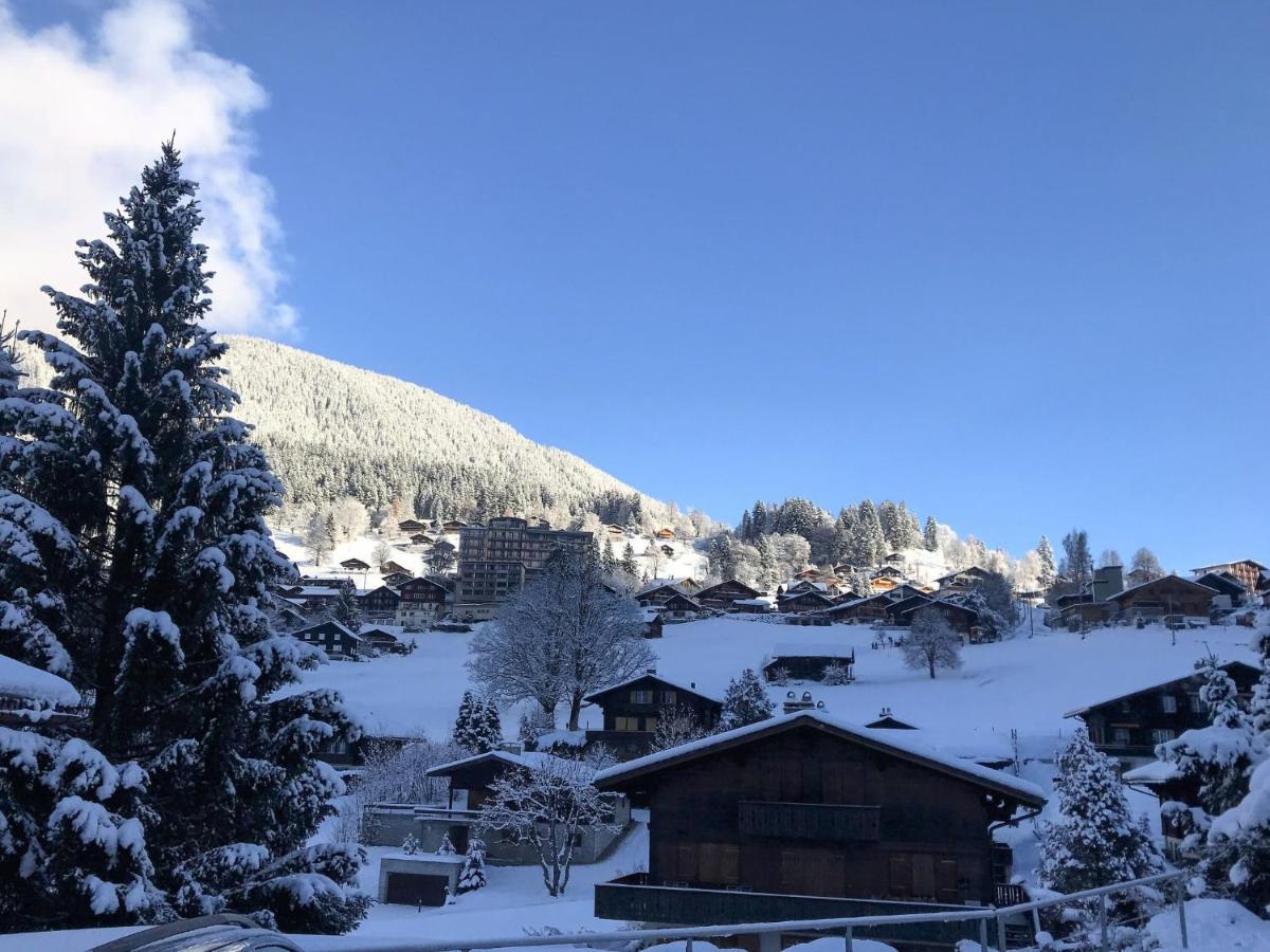 Apartment Chalet Anna By Interhome Grindelwald Exterior foto